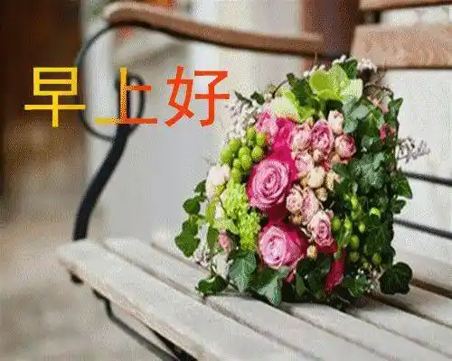 最新早上好动态图片带鲜花早晨好动态表情图片大全