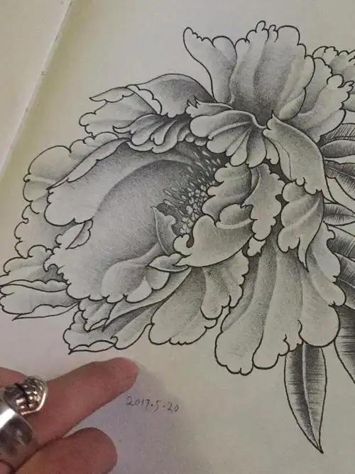 牡丹_纹身图案手稿图片_小海的纹身作品集