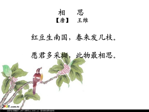 相思【唐】王维红豆生南国,春来发几枝.愿君多采撷,此.ppt