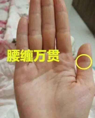 有这种纹路的特征,不管男女,迟早要发大财,大富大贵!