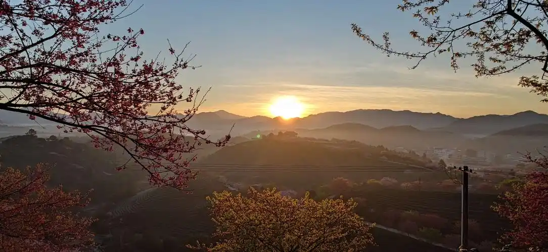 2021年2月19日再次樱花园行,美景尽收眼底