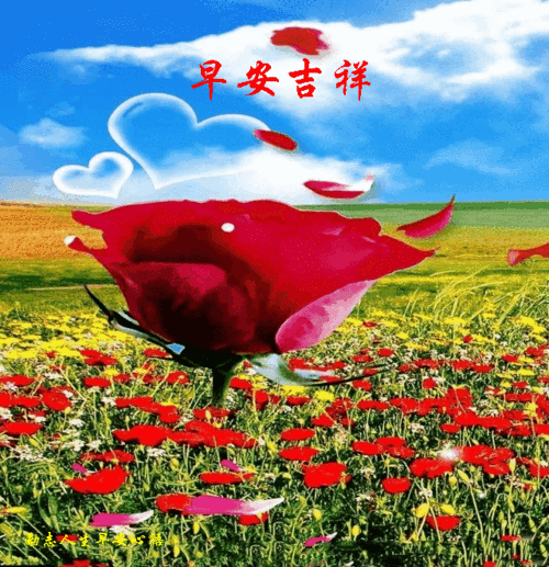 812周日愉快《早安心语》