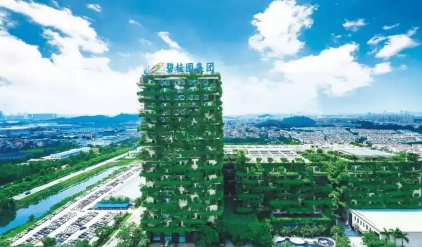 碧桂园:又一波区域总裁离职了