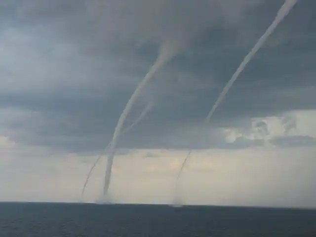 台风|气旋|水龙卷|飓风_网易订阅