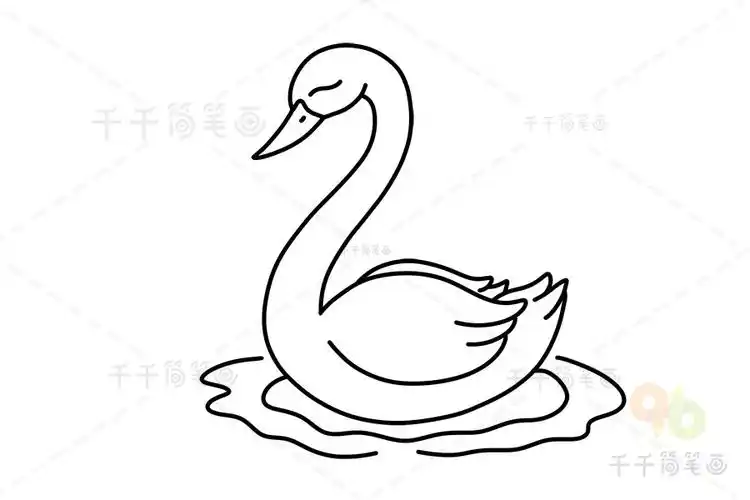 黑天鹅简笔画