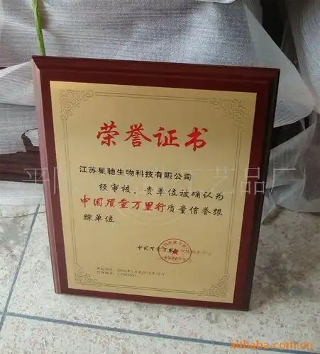 星驰荣誉证书铜牌 金属奖牌 铜牌 木制奖牌