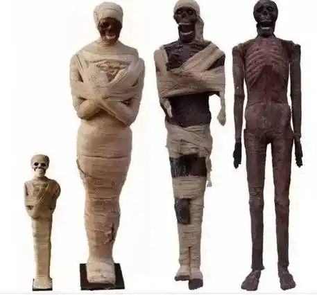 木乃伊的身体是如何被掏空的?