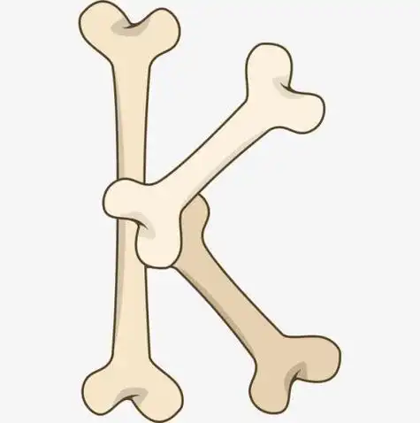 彩色肉骨头简笔画