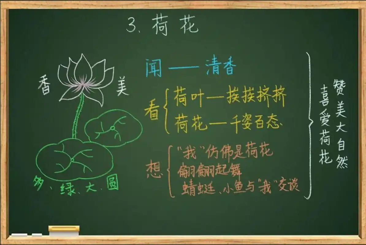 三年级语文下册《荷花》课堂板书