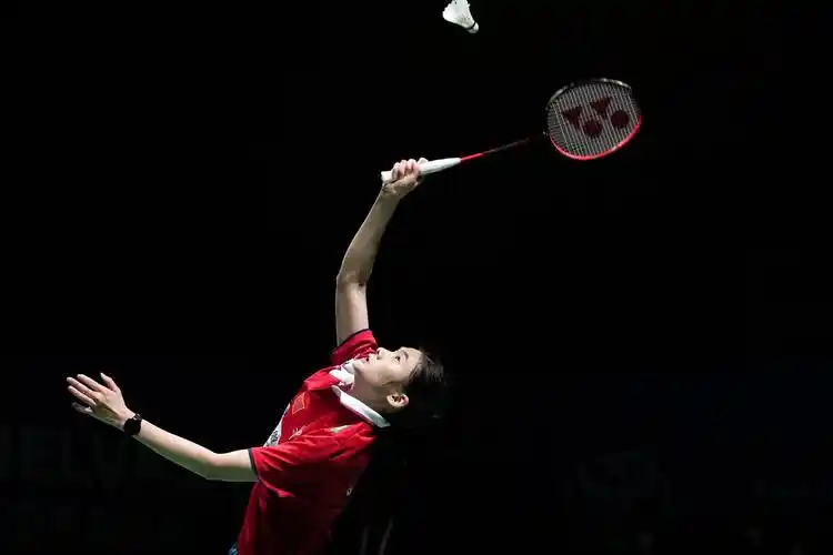 【羽毛球拍手胶96:你的比赛利.@陈会玩985的动态