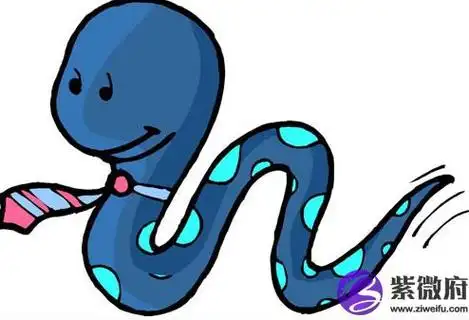 2013是什么生肖年2013是什么年2013年出生的人属蛇.