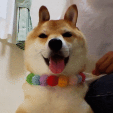 你生平用过最沙雕的表情包是什么