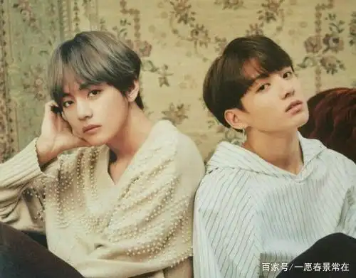 防弹少年团内金泰亨x田柾国cp,小编了解比较少,但是他们私下很甜