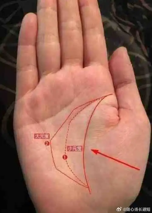 三种享福命的女人手纹一,金星纹在手相中有个纹路叫做金星纹,金星纹就
