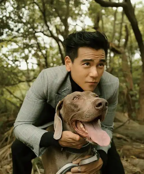 彭于晏的西装造型有多绝深色西装配上背头发型沉稳内敛有涵养