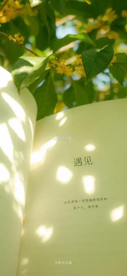 朋友圈背景图##ins手机壁纸简约可爱全屏无水印高清