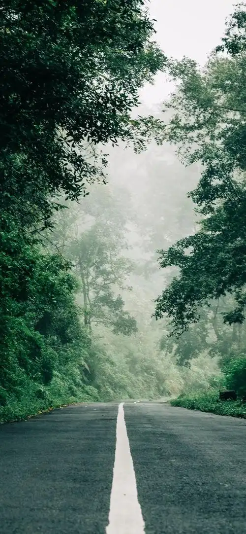 壁纸壁纸(图片选自:非主流编辑:小微)微民技巧:如何更换微信聊天背景?