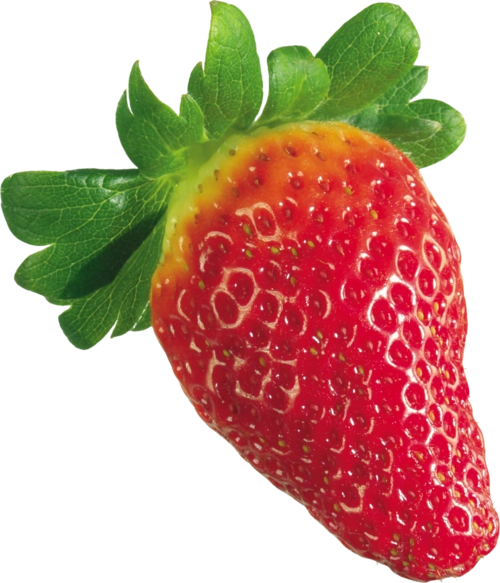 水果 草莓 png 透明图片 免抠图设计元素素材免费下载(图片编号