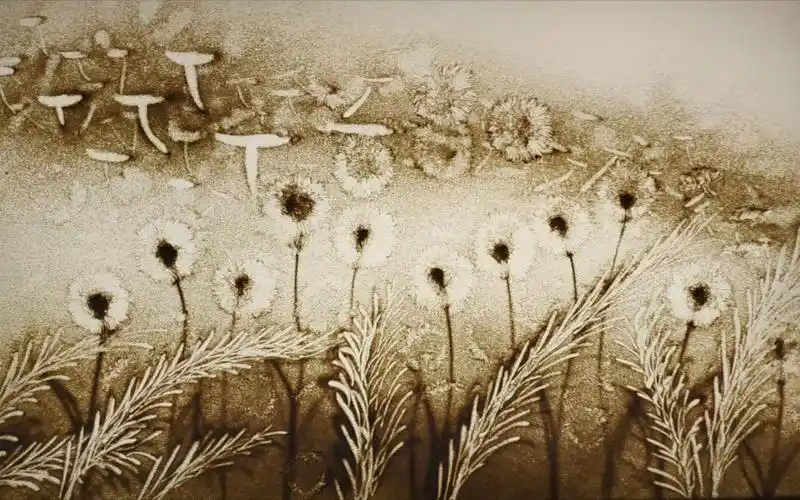 沙画表演系列之《蒲公英》