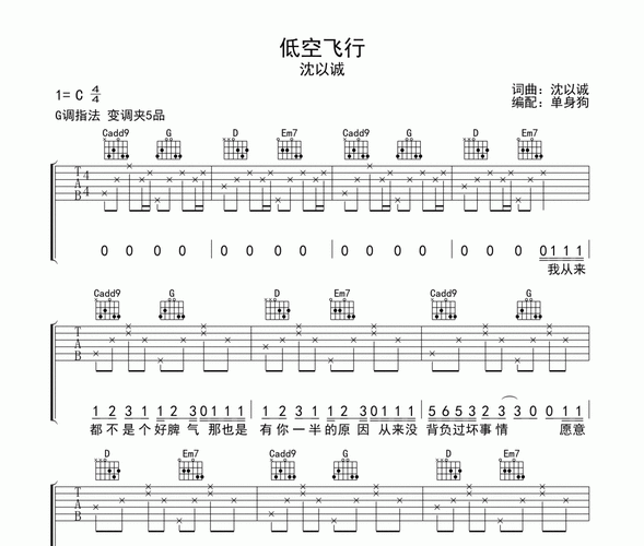 低空飞行沈以诚