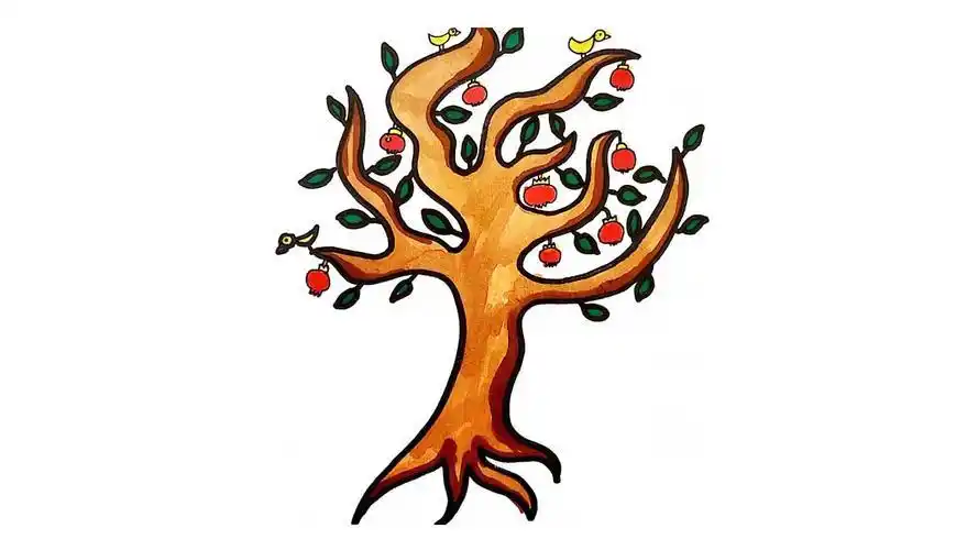 石榴树的生长过程简笔画