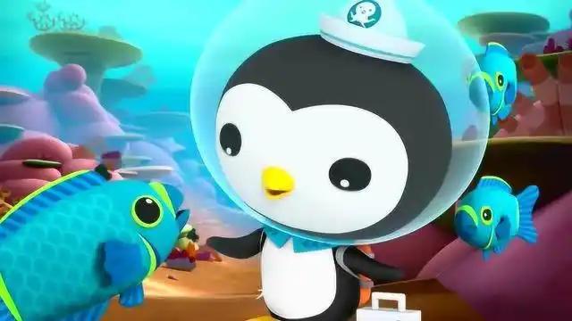 海底小纵队第二季:大白鲨为什么一直穷追皮医生不放呢