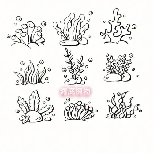 幼教考编面试简笔画海底植物大全