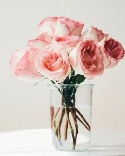 鲜花唯美图片给你一捧鲜花 -唯美图片-唯美图片大全