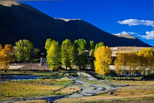 大香格里拉环线之新都桥图片691,四川省旅游景点,风景名胜 - 蚂蜂窝图