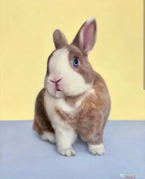 手绘油画萌宠 兔子92_高清图集_新浪网