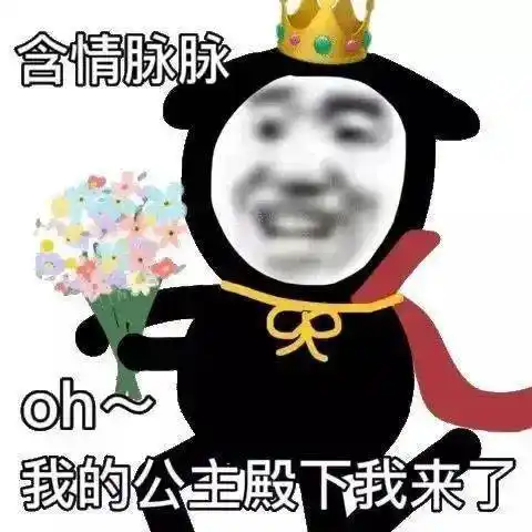 我的公主殿下!我来了!_熊猫头_表情_时候