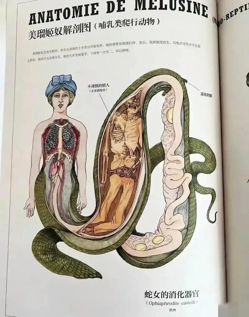 很好奇,美女蛇是怎么把人吞进去的?