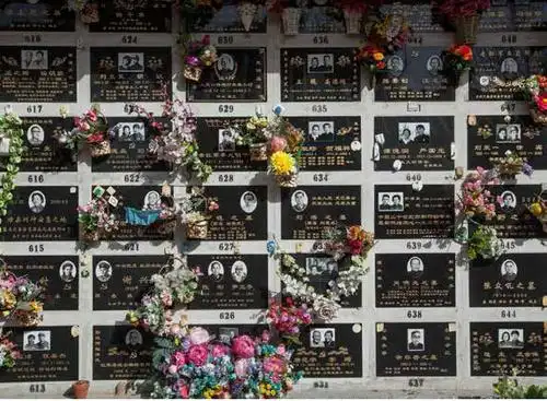 微信新闻今天看到的一篇访谈,在北京,2000万种死法