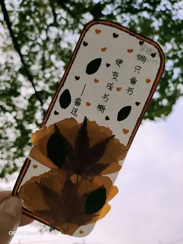 的阅读——永丰小学第十五届读书节六年级成果展示 写美篇  小书签,大