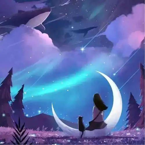 夜晚观看星空背影头像图片