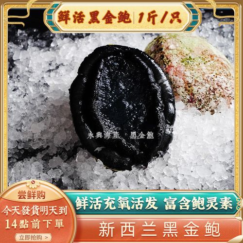 黑金鲍鲜活新西兰黑金海鲜刺身澳洲鲍鱼带壳正宗高档即食顺丰商用