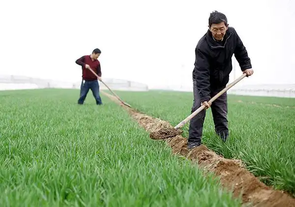 清明时节农事忙