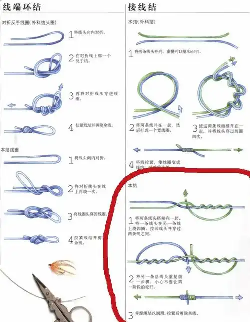 西北狼请进[复制链接]