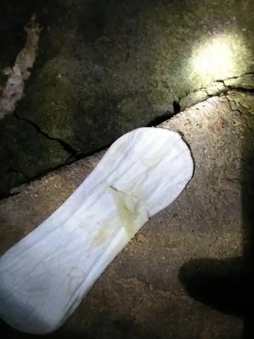 请问这是什么东西,月经推迟八天了,白带增多,第一次出现这种东西