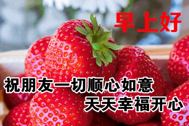 11月24日最漂亮早上好动态表情图片大全,早晨好动图美图大全_祝福