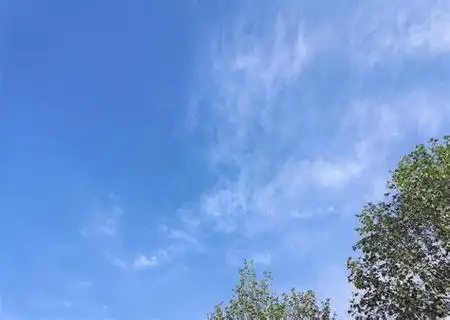 1,心里有个小太阳,在哪里都是阳光明媚,天气晴朗.