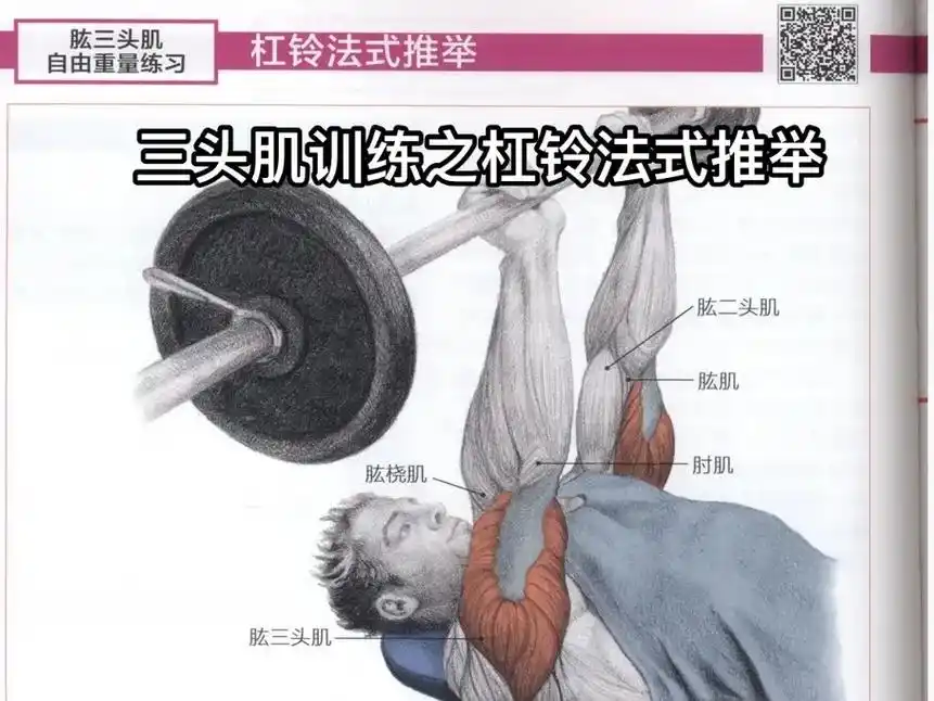 三头肌训练之杠铃法式推举.#健身干货 #力量训练 #减脂 # - 抖音