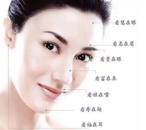 面相分析眉骨突出的女人