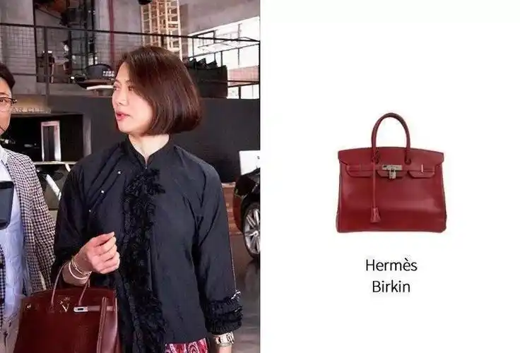 "爱马仕狂魔"袁咏仪的所有爱马仕包包,都被我找出来了