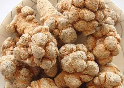 煲汤用什么中药材好,21种煲汤常用的中药材