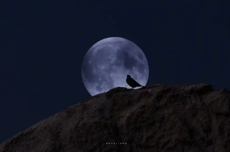 聊天背景图 朋友圈背景图 - 堆糖,美图壁纸兴趣社区