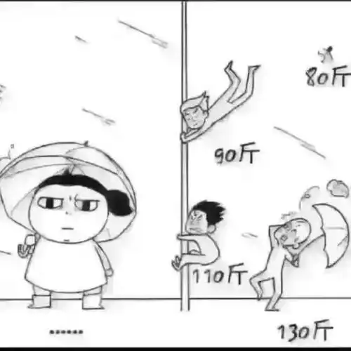 如果你的辅导员被大风吹跑了,你的专业能做些什么?