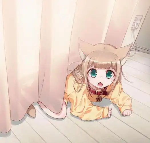 关于猫娘的那些趣事猫娘有几只耳朵猫娘和猫耳娘有什么区别