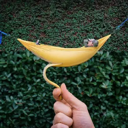 生活照片的巧妙拼接,很有创意!