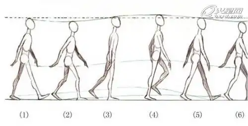 从人类行走的能量变化看生物中的能量转化